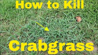 How to Kill Crabgrass [upl. by Corri]