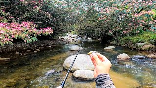 lluvia de peces  señuelo MORTAL para pescar sabaletas [upl. by Yeaton]