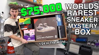 Unboxing The Worlds Rarest 75000 Sneaker Mystery Box [upl. by Eirahs365]