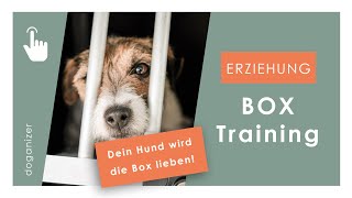 Hunde Box beibringen  Boxtraining  Eingewöhnung  Hundeerziehung [upl. by Clellan]