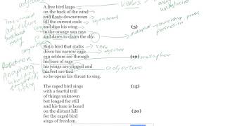 Caged Bird Annotations [upl. by Uri643]