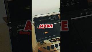 New Single ‘Adore’ 1017 Visualizer 1 [upl. by Richers848]