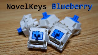 NovelKeys Blueberry switch review [upl. by Apoor]