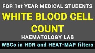 WHITE BLOOD CELL COUNT  HAEMATOLOGY LAB  BLOOD PHYSIOLOGY PRACTICAL [upl. by Sirromal]