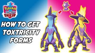 How to Get Each Toxtricity Form Pokemon Sword and Shield Toxel Evolution Method [upl. by Nwahsear]