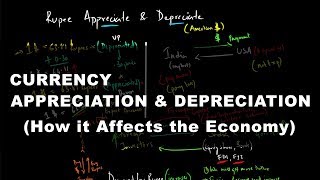 Currency Appreciation amp Depreciation  How it Affects the Economy  Economics [upl. by Eisus]