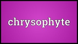 Chrysophyte Meaning [upl. by Aerdnat]