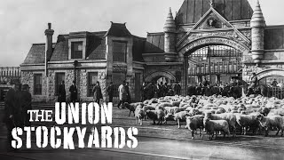 The Union Stockyards — A Chicago Stories Documentary [upl. by Eillit774]