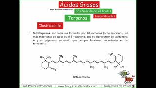 Terpenos  Ácidos Grasos Parte XIII [upl. by Anaoy]