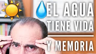 Episodio 1063 El agua tiene vida y memoria [upl. by Ahsiekat]