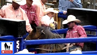 Bronc Riding  2021 Coors Cowboy Club Ranch Rodeo  Saturday [upl. by Eimmak]