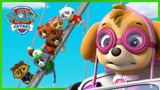 狗狗拯救猫咪救援大队  PAW Patrol 汪汪队立大功  儿童卡通 [upl. by Atilahs]