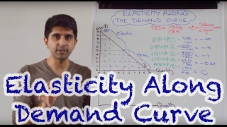 Y1 42 Elasticity Along The Demand Curve [upl. by Nerahs]