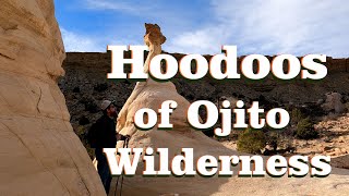 Hoodoo Hike  Ojito Wilderness  New Mexico [upl. by Melita]