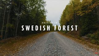 Deep Forest Drive 4K  Örnsköldsvik Sweden [upl. by Kcolttam590]