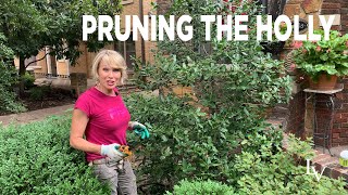 How to Prune Holly [upl. by Elyagiba128]