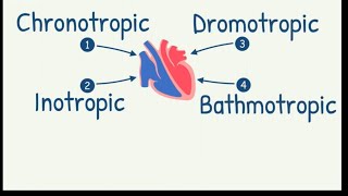 ChronotropicDromotropicInotropicBathmotropic Effects on HeartCardiac Tropism [upl. by Ahsimrac]