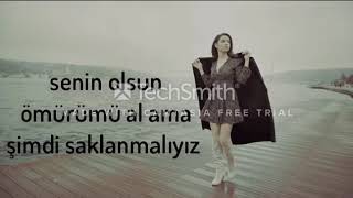 Feride Hilal Akın  Gizli Aşk lyrics [upl. by Ennire]