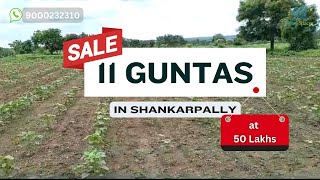 11 Guntas land in Sankarpally at 50 lakhs [upl. by Viddah]