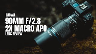 Laowa 90mm f28 2x Macro APO Review plus Example Images [upl. by Kara-Lynn]