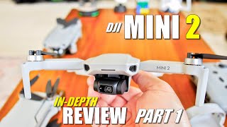 DJI MINI 2 Review  Part 1 InDepth Unboxing Updating Setup Comparison Pros amp Cons [upl. by Marna359]