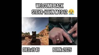 Welcome Back SteyrHahn M1912 😭💀 [upl. by Aiepoissac]