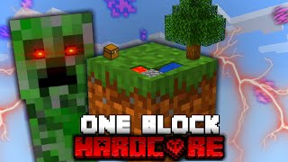 Minecraft One Block Skyblock but its HARDCORE [upl. by Esiom]