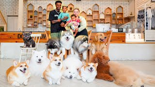 Visiting The Viral Bangkok Thailand Dog Cafe [upl. by Enialedam833]