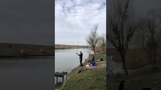 Casting Daiwa Ninja X Feeder  390M  40120gr Slow Motion 02 [upl. by Ibbor]