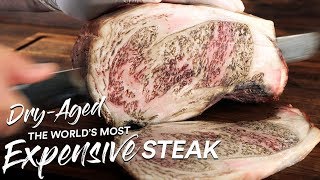 1 Million Special DRY AGE Most EXPENSIVE Steak on Earth  Guga Foods [upl. by Devad409]