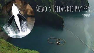 Keikos Legacy Episode 3  Icelandic Bay Pen [upl. by Obrien42]