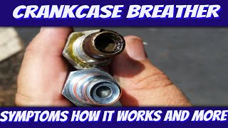 Crankcase Breather Symptoms PCV Valve Symptoms [upl. by Ahsemik46]