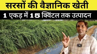 2024 में सरसों की आधुनिक खेती कब और कैसे करें  Sarso Ki Kheti Kaise Karen [upl. by Emiline]