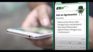 Ask An Agronomist What Are The Main Ways We Lose Nitrogen [upl. by Ynnod]