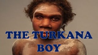 Turkana Boy  Explained [upl. by Nelyt]