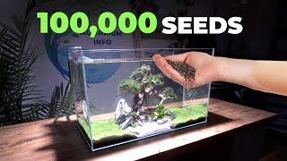 Sand waterfall aquarium and bonsai trees [upl. by Caswell212]