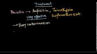 Listeria monocytogenes treatment [upl. by Trefler]