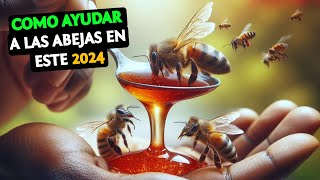 Como Empezar en La Apicultura 2024 El Año para Salvar a las Abejas y Nuestro Futuro 🐝 [upl. by Berthe]