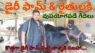 కొత్త డైరీ ఫామ్ ప్రారంభించాలి అనుకుంటే ఎప్పుడైనా సలహా లిస్తా  Buffaloes For Sale  Murrah [upl. by Livy]