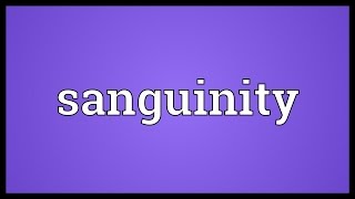 Sanguinity Meaning [upl. by William731]