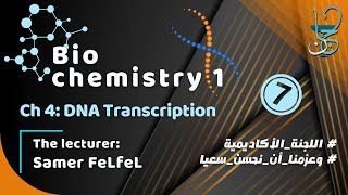 Biochemistry 1 Ch4 DNA Transcription [upl. by Alrad]