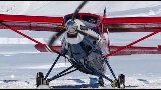 Incredible DHC3 Snow Landing Near Mt Denali [upl. by Meedan]