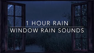 Heavy Rain and Thunder  Window Rain Sound  1 hour Rain Sounds for Sleep  Green noise [upl. by Schertz]