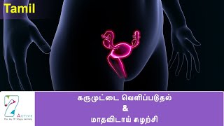 OVULATION amp THE MENSTRUAL CYCLE  TAMIL [upl. by Oidualc]