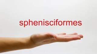 How to Pronounce sphenisciformes  American English [upl. by Jaye]