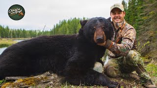 Black Bear Hunts Vol1  Best Of  Canada in the Rough ULTIMATE Bear Hunting Compilation [upl. by Sioled]