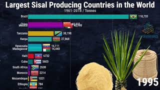 Largest Sisal Producing Countries in the World [upl. by Aiz726]