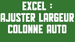 Ajuster automatiquement la largeur de la colonne sur Excel 2013 S01E42 [upl. by Fredkin]