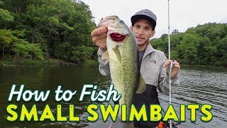 Fishing Soft Plastic Swimbaits To Mimic Baitfish  Tips amp Tricks [upl. by Eelirak]