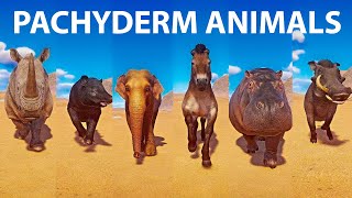 Pachyderm Animals Speed Races in Planet Zoo included Elephant Rhino Hippo Horse [upl. by Nylatsyrc]